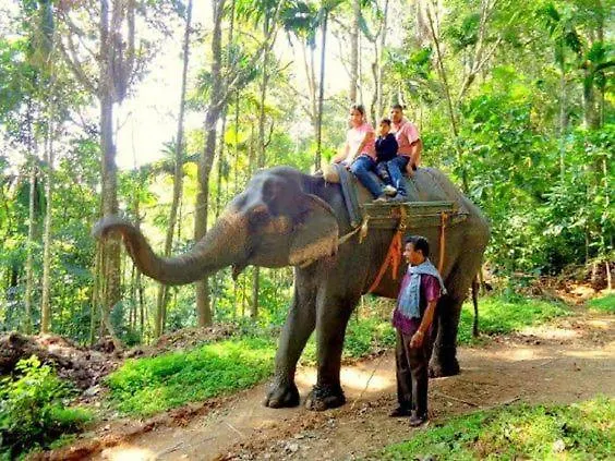 Vila New Heaven Thekkady 0*,