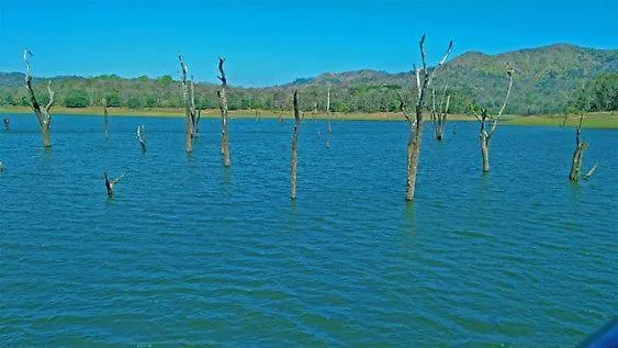 Vila New Heaven Thekkady